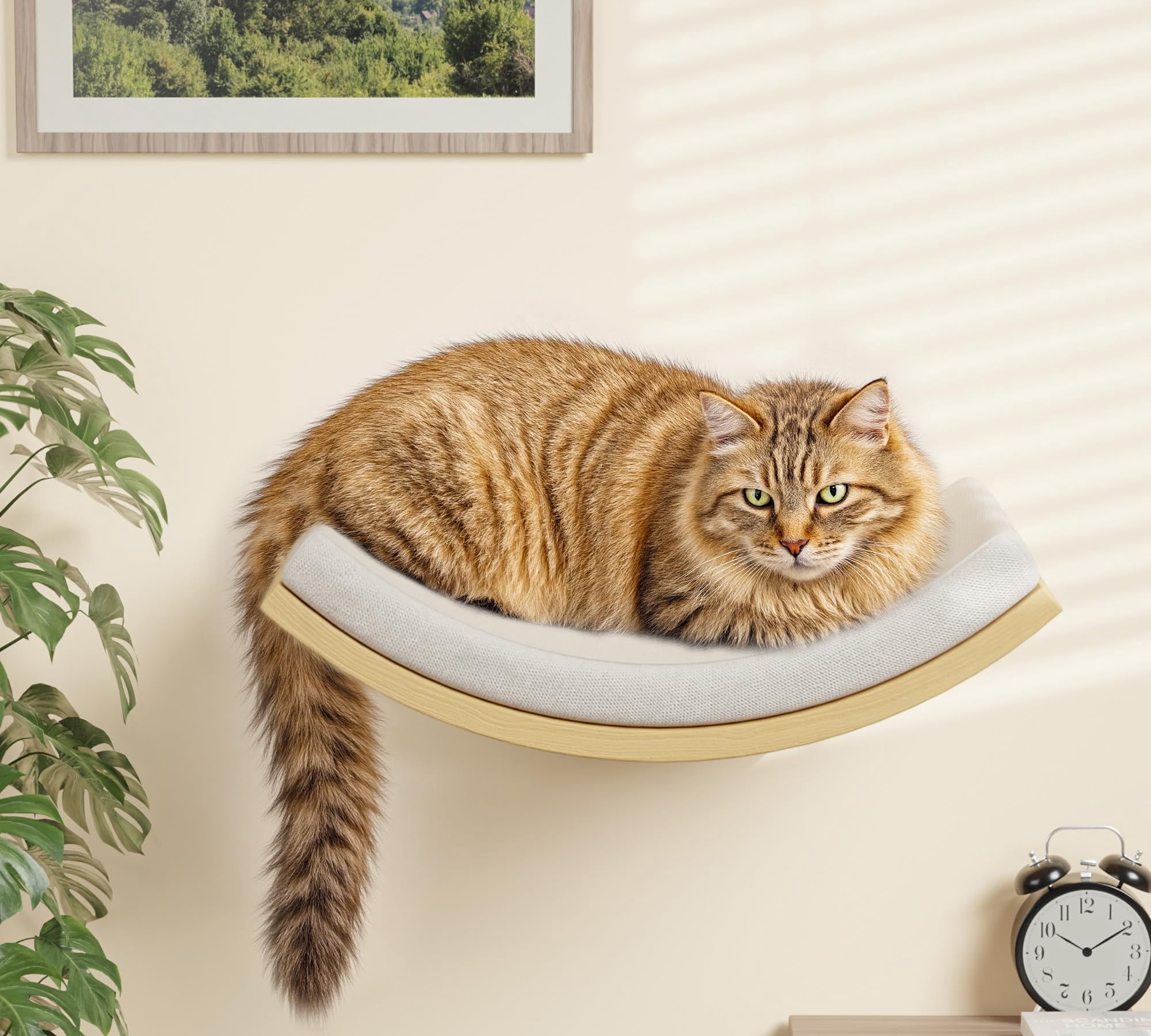 Wood Foam Curved Combo A (4 Pieces) Cat Perch Wall Mounted Furniture Set