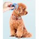 thumbnail image 3 of Peine y cuchillo para hacer nudos para mascotas, 1 pieza, color azul, 3 of 3