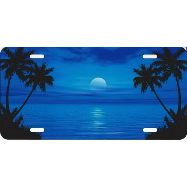 Bleu Océan Scène Palm Moon Plaque d'Immatriculation