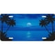 Bleu Océan Scène Palm Moon Plaque d'Immatriculation – image 1 sur 2