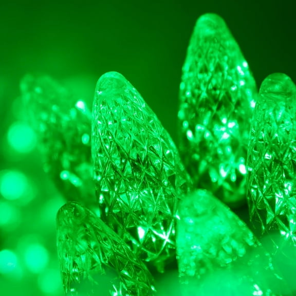 Wintergreen Lighting C6 Green Christmas Lights LED String Lights, Set of 70 Lights on Green Wire, 24 Ft - Indoor/Outdoor Lighting