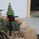 thumbnail image 5 of Decoraciones de luz solar para árboles de Navidad IP65 para , patio Zulema luces al aire libre, 5 of 8
