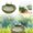 G, variant on Bird Bath For Outside On Ground Ceramic Birds Bath Bowl Handmade Ground Bird Feeders And Birdbath For Outdoors For Outdoors Garden Tabletop Balcony And Easy Light Feeder Suite Feeders for Birds Feeder