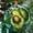Avocado 1621, variant on Monarch Butterfly Ornament Window Hangings, Cat Butterfly Sunflower Handcrafted Suncatchers, Gift for Cat Lovers Nature Lovers (), 2025, 2025, Seasonal Holiday Decor, Holiday