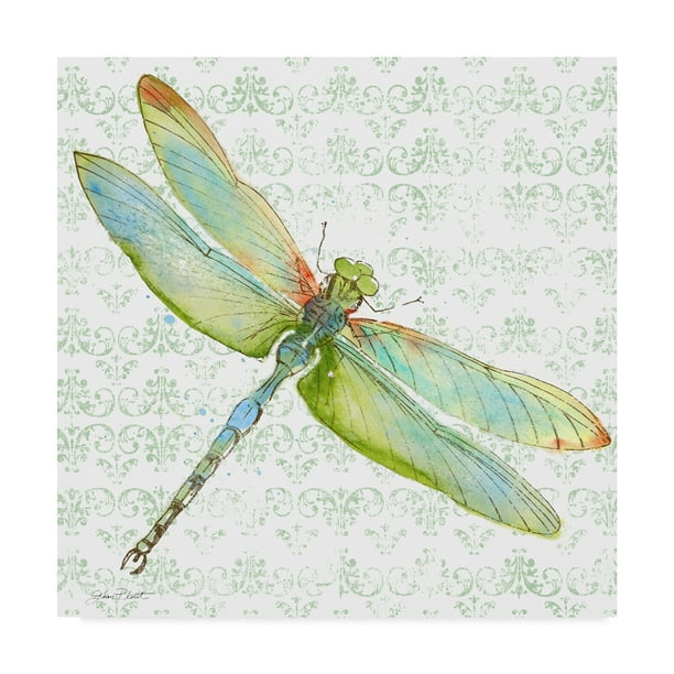 Trademark Fine Art 'Dragonfly Bliss 3' Canvas Art by Jean Plout ...