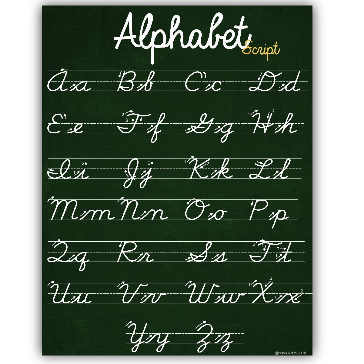 ABC Cursive Script Alphabet poster STANDARD SIZE chart LAMINATED teaching classroom decoration Young N Refined - image 4 of 4