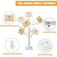 thumbnail image 3 of Money Tree Gift Holder, Gift Card Tree 2FT 24LED, Lighted Birch Trees Battery/USB Powered Timer Photo Display with 12 Clear Clips and 12 Cards for Home Christmas Halloween Picture Memo 2 Pack, 3 of 8