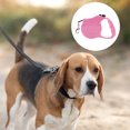 thumbnail image 6 of Unique Bargains 1 Pc Simple Pet Leash Scaling Dog Leash for Dog 9.84ft Long Pink, 6 of 6