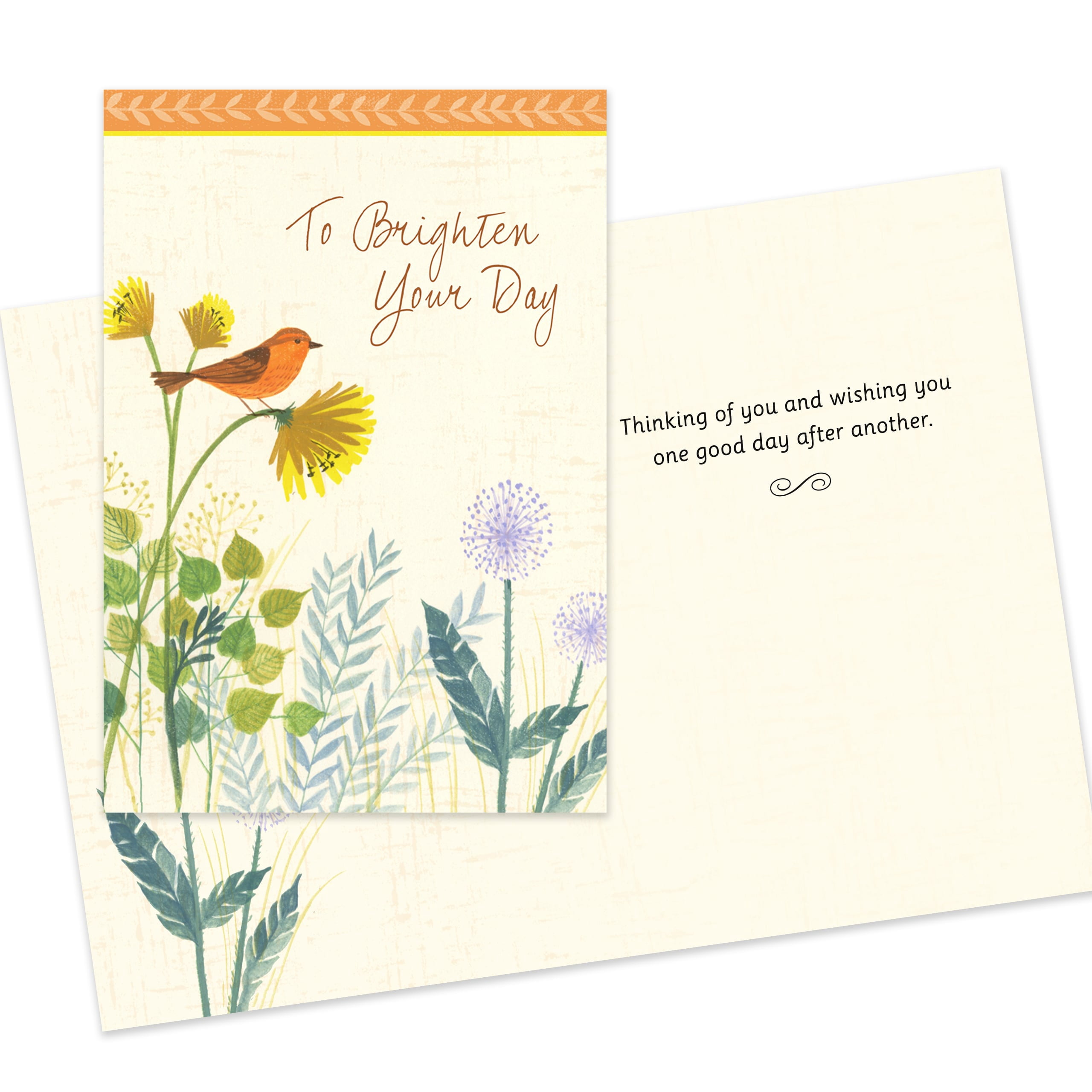 Hallmark Business Bulk Assorted Thinking of You Cards (Encouraging Thoughts), 25 ct.