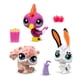 thumbnail image 2 of Littlest Pet Shop Bandai Pack 3 Park Pets BF00598 Juego de 3 accesorios para mascotas, tarjeta de coleccionista y código virtual, generación 7, mascotas #99, #100, #101, niños mayores de 4 años, 2 of 7