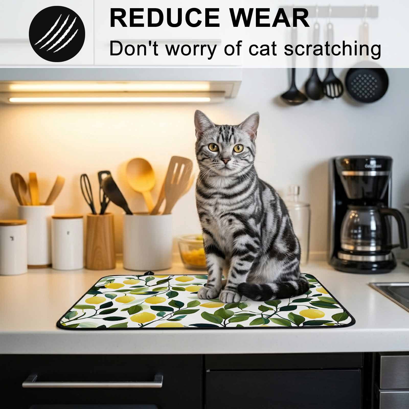 Summer Lemon Stove Top Cover for Electric Stove, Heat-proof & Non Slip Glass Top Stove Cover Protector, Yellow Fruits Pastoral Green Botanical Kitchen Flat Cooktop Rubber Mat 24x21 Inches
