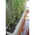 thumbnail image 1 of Bamboo54 5938 Pot Rectangulaire Surélevé, 1 of 1
