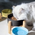 thumbnail image 4 of Elevated Ceramic Pet Feeding Bowls with Stand for Cats and Small Dogs Vomit Food Water Dishes, 4 of 4