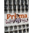 thumbnail image 2 of Amplify Gaze Amplify Grace (PRIMA)- 120pcs Prima Natural Lash Clusters Beginner Friendly DIY Eyelash Extensions, Office Wear CC-Curl Individual Lashes, 8-16mm Mixed Tray, 2 of 9