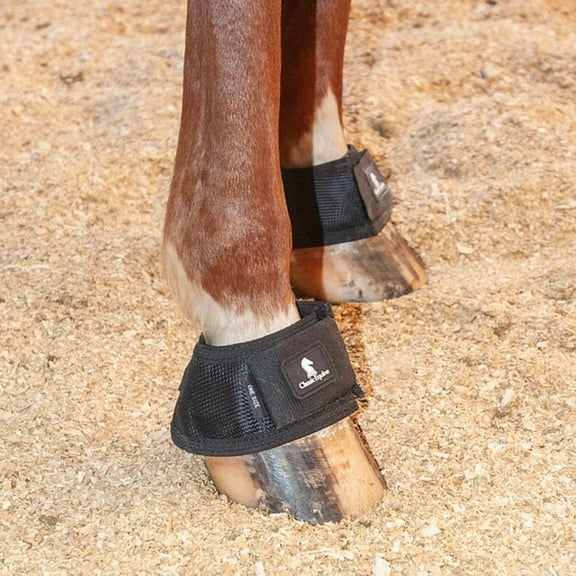 Classic Equine MagNTX Bell Boots: Magnetic Therapy for Hoof Pain Relief