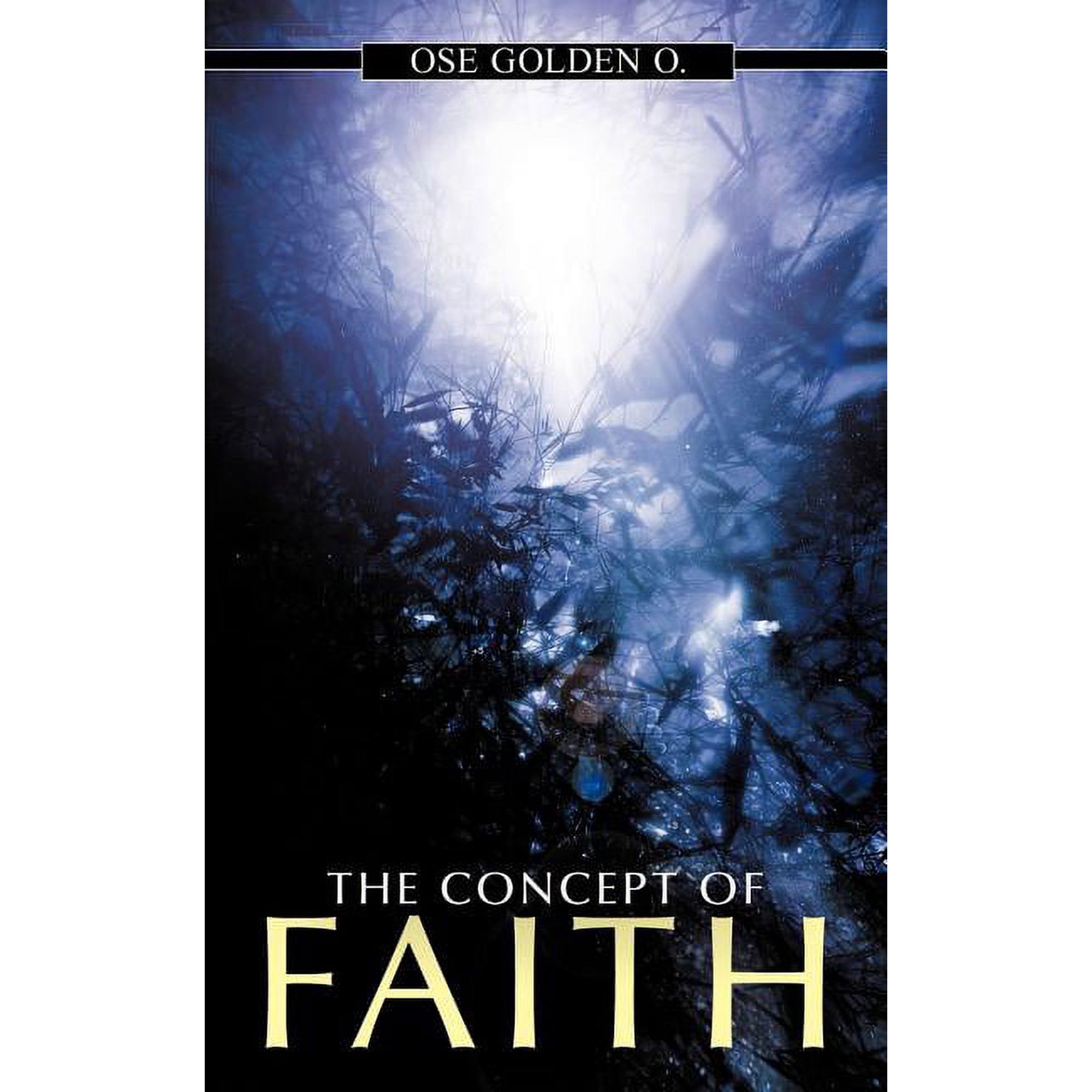 The Concept of Faith (Paperback)