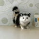 thumbnail image 2 of Bonita Muñeca Animal De Peluche, Gato De Peluche, Juguete Infantil Decorativo, Realista Y Realista, Juguete Interactivo De Peluche, 2 of 3