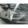 thumbnail image 3 of Ambesonne Grey Quilted Bedspread Set 3 Pcs, Modern Marble Print Monstera, Queen Size, Dimgray Coconut Pearl, 3 of 4