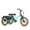 Sky Blue, variant on Addmotor Fat Tire Unisex Adults Electric Tricycle, White, 20''