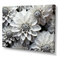 thumbnail image 2 of Designart "Essential Beauty In Black And White Mums" Mums Canvas Art Print, 2 of 7