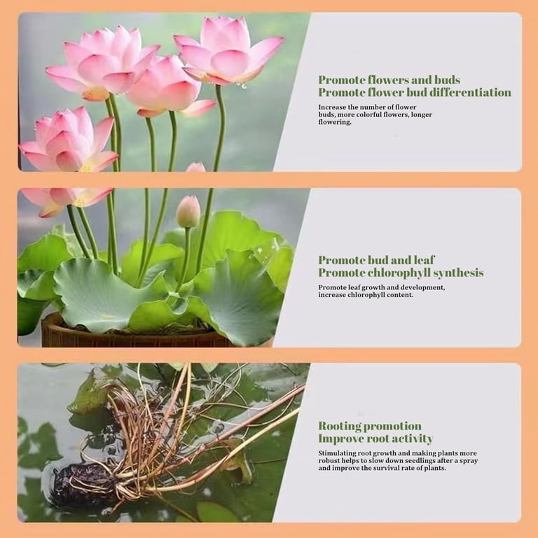 Aquatic Plant Fertilizer,Lotus Fertilizer,Fertiliser Wasserlily,Water Plant  Fertilizer,Lotus Growth Powder,Water Lilys Fertilizer,Pond Plants  Nutrient(2pcs 200g/7.05oz)Clearance from ANMUYUM - Walmart.com