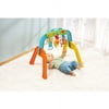 Infantino - Light and Music Gym