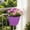 Purple, variant on Indoor Outdoor Wall Mounted Planters with Drainage Holes Ideal for Decorating Balconies and Terraces Plants Flowers Indoor Outdoors