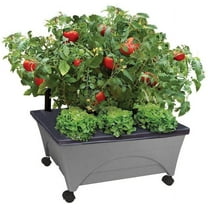 Emsco Group City Picker Raised Bed Grow Box  Self Watering and Improved Aeration  Mobile Unit with Casters - Slate
