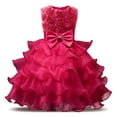 thumbnail image 1 of SYNPOS Kids Girls Sleeveless Ruffles Lace Tutu Princess Dress 3-10Y Little Big Child Wedding Birthday Pageant Dress, 1 of 5