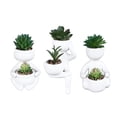 thumbnail image 2 of Pot Succulent Simulé, Pot Succulent Créatif pour Décoration Intérieure, 2 of 8