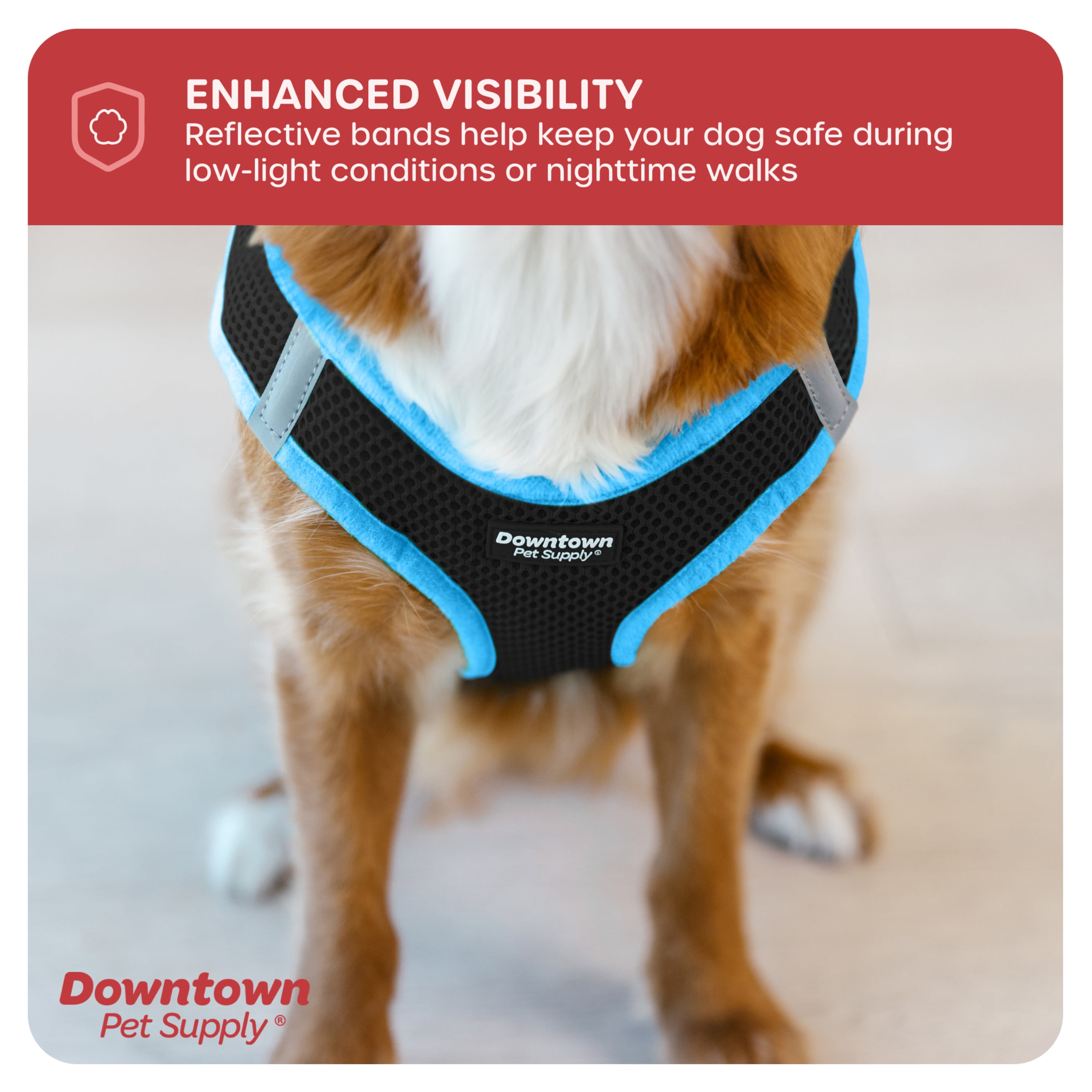 Downtown Pet Supply Step In Dog Harness For Small Dogs No Pull, Large, Black w/ Cobalt Blue Trim