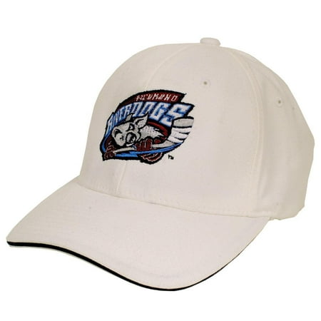 Richmond Baseball - Richmond Riverdogs - Logo Adult Flexfit Baseball Cap