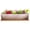 White, variant on 12.1 in x 3.5 in x 2.7 in Long Rectangle White Ceramic Succulent Planters Pots with Drainage Tray