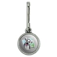 thumbnail image 1 of Lemur Selfie Picture Antiqued Charm Clothes Purse Suitcase Backpack Zipper Pull Aid, 1 of 5