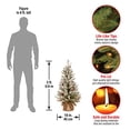 thumbnail image 3 of Árbol de Navidad National Tree Company Dunhill Fir 90 cm, 3 of 5