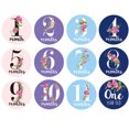 thumbnail image 1 of 12PCS/Set Month Sticker Baby Photography Milestone Memorial Monthly Newborn Baby belly sticker Baby Commemorative Card Number Photo Props, 1 of 9