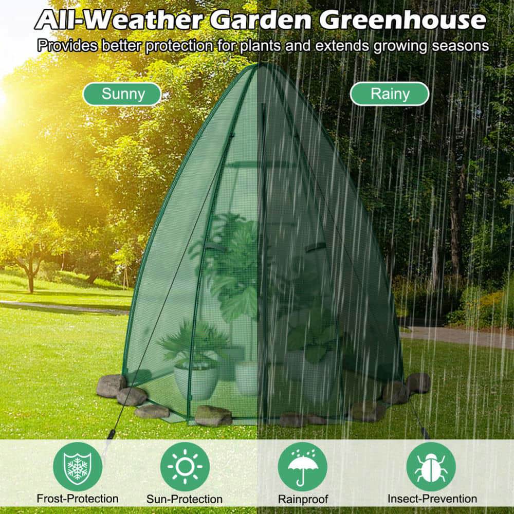 Spaco 5.5 x 5.5 x 6 Feet Portable Mini Greenhouse with All-Weather PE Cover, Mini Greenhouse with Zippered Door and Roll-up Window for Outdoor, Green
