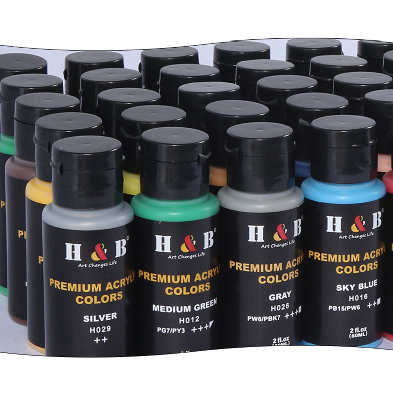 H&B Acrylic Paint Set, 12 Colors (60ml, 2oz) Art Craft Paint Supplies for  Canvas Wood Ceramic Rock Painting, Rich Pigments Non Toxic Paints for Kids  Beginners Students Adults Artist Painter 