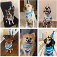 thumbnail image 2 of Pañuelo de cumpleaños para perro, bufanda y sombrero de fiesta de cumpleaños para perro, niña y niño, con bonito Collar de pajarita para perro, mascota pequeña y mediana, 2 of 6