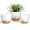 White&Grey, variant on FIASON 6 Pack Plastic 5/5.5/6/6.5/7/8 Inch White with Brown Self Watering Plant Pots,Include Watering Lip,Drainage Holes and Removable Saucer,Flower Pots for Indoor Outdoor Plants