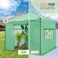 thumbnail image 3 of EAGLE PEAK 10x10 Portable Walk-in Greenhouse Instant Pop-up Easy Setup Indoor Outdoor Plant Gardening Green House Canopy,Green, 3 of 8