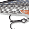 thumbnail image 7 of (2 pack) Rapala Original Floating Minnow Fishing Lure, Shiner,  2" 1/16 oz., 7 of 7