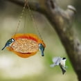 100Fens Hanging Bird Feeder Bird Feeder Hanging For Garden Yard Outside ...