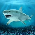 thumbnail image 5 of Mini Tudou Great White Shark Toy,11’’Realistic Sea Animal White Shark Figurine,Life-Like Ocean Organism Creature Cognitive Toy Figure,Best Collection Gift,Cake Topper for Ages 3+ Kids, 5 of 5