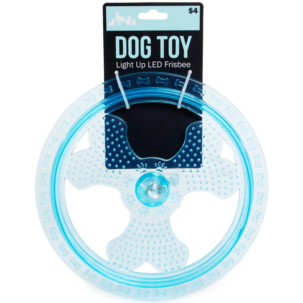 up dog frisbee