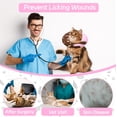thumbnail image 6 of Minzimin 1Pack Cat Cone Collar Soft, Adjustable Cat Recovery Collars Spay Cones to Stop Licking, Cute Donut E Collar After Surgery, Anti-Lick Wound Healing Elizabethan Collar for Kittens, 6 of 7