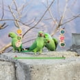thumbnail image 2 of OFFIGAM Wooden Bird Swing and Parrot Perch Stand in Assorted Colors with Bite Resistant Design for Pet Birds, 2 of 8