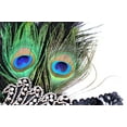 thumbnail image 3 of Peacock Feather headband Accessories Great Gatsby~Halloween Party KT00168, 3 of 4