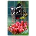 thumbnail image 1 of Picture-Tiles.com: Butterfly Ceramic Tile Wall Mural WAL500281-35S. 12.75"W x 21.25"H using (15) 4.25" x 4.25" Ceramic Tiles-Satin Finish, 1 of 3