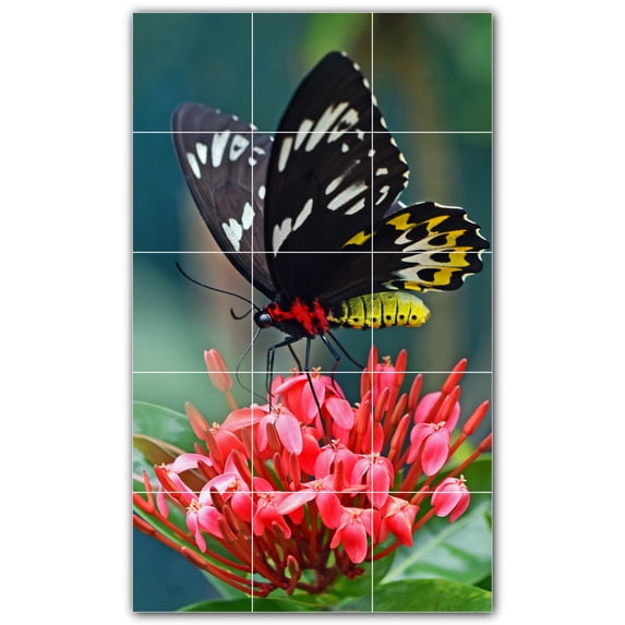 Picture-Tiles.com: Butterfly Ceramic Tile Wall Mural WAL500281-35S. 12.75"W x 21.25"H using (15) 4.25" x 4.25" Ceramic Tiles-Satin Finish